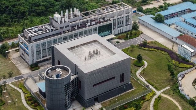 Laboratoire de Wuhan : de nouvelles expériences à « haut risque » inquiètent
