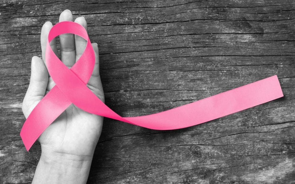 Lutte contre le cancer du sein : vers un bel espoir grâce à des végétaux combinés