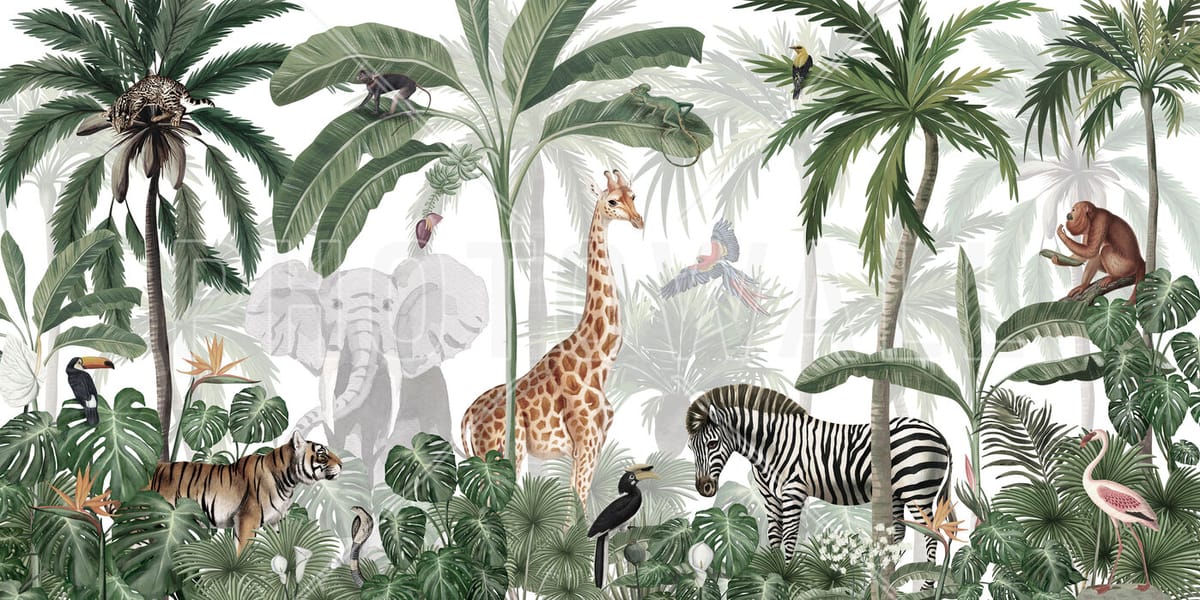 Ordre spontané et loi de la jungle