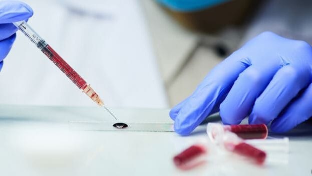 Covid : nouvelles découvertes sur la réaction immunitaire face aux variants