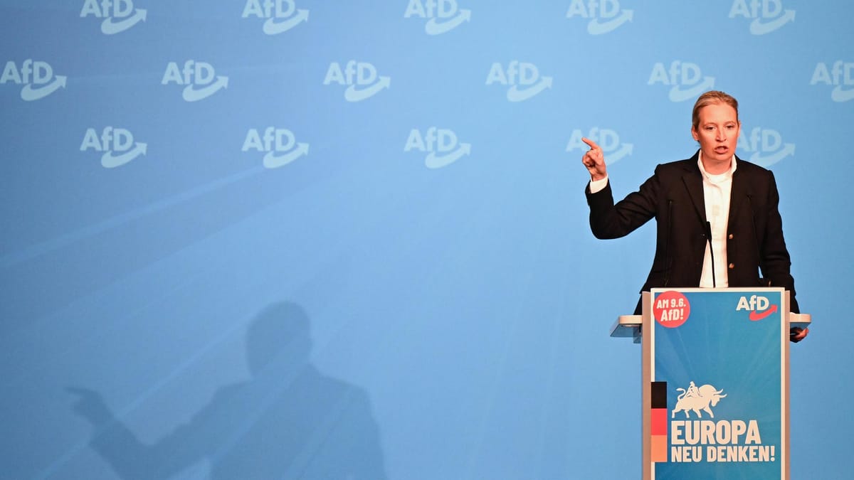 Reisner : « l’AFD veut que l’Allemagne sorte de la zone euro »