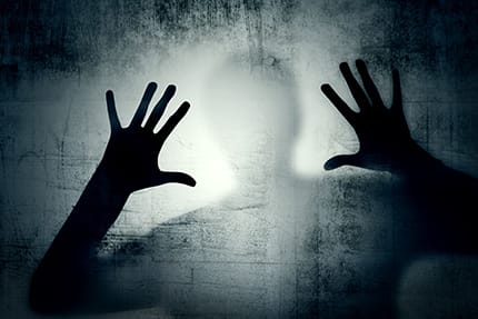 Un guide gouvernemental de survie pour les Français, ou le stratégie de la psychose, par Murray P.