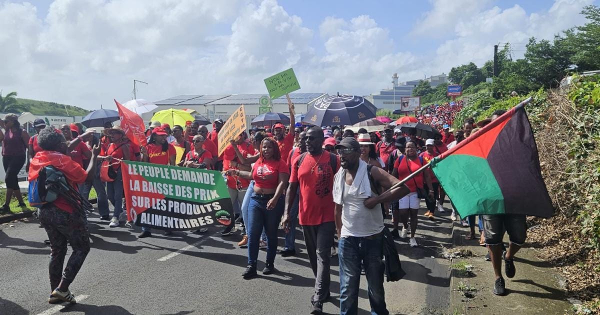 Vie chère en Martinique : comment concilier urgence des fins de mois et complexité de la formation des prix ?