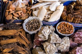 De la piqûre forcée aux plantes médicinales : le grand écart schizophrène de l’OMS