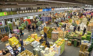 Siège de Paris par les paysans : pourquoi la ville tremble mais ne tombera pas, par Elise Rochefort