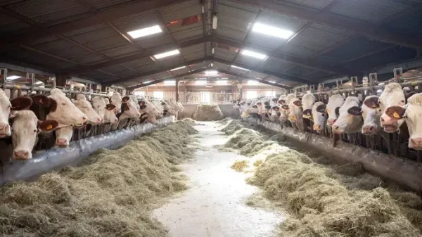 L'agriculture française rebondit en 2025... en dépit de l'État parasite et des crises