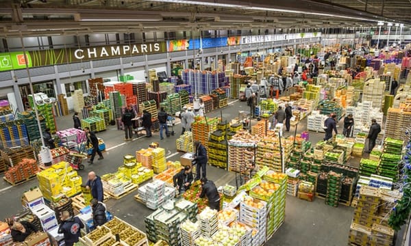 Siège de Paris par les paysans : pourquoi la ville tremble mais ne tombera pas, par Elise Rochefort