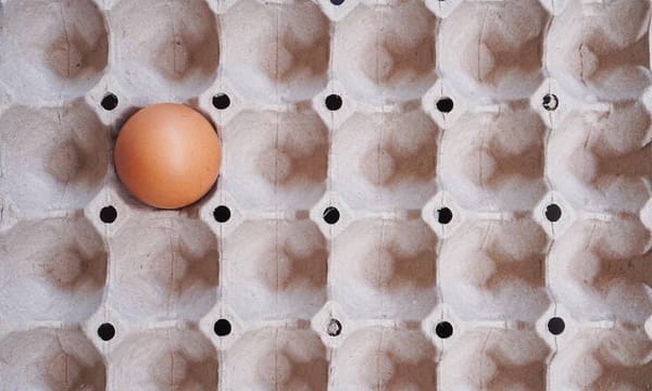 Pénurie d’œufs: comment un produit populaire est devenu une denrée rare