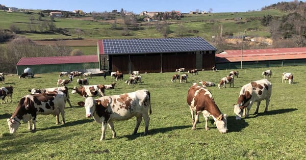 Comment la guerre d'Iran va liquider un tiers des fermes françaises, par Élise Rochefort