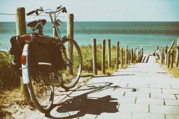 Au lendemain du Brexit, aucune pluie de sauterelles sur le Royaume-Uni