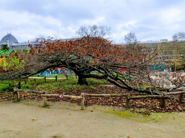 Le futur régime universel de retraites en passe de devenir une collection de régimes singuliers