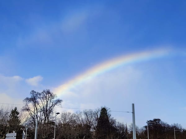 Pourquoi il faut entamer la reconstruction narcissique de ce pays dès 2020