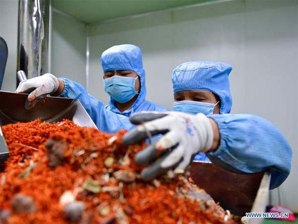 Great Reset : instrumentaliser l’épidémie de COVID 19