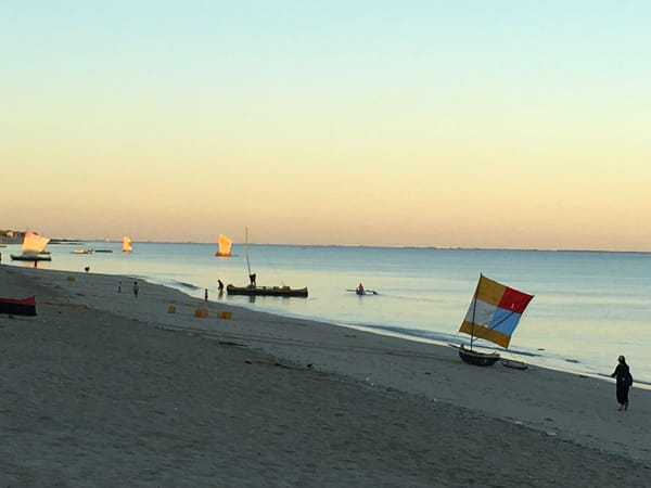 Picot : terrifiante convention citoyenne sur le climat (2è partie)