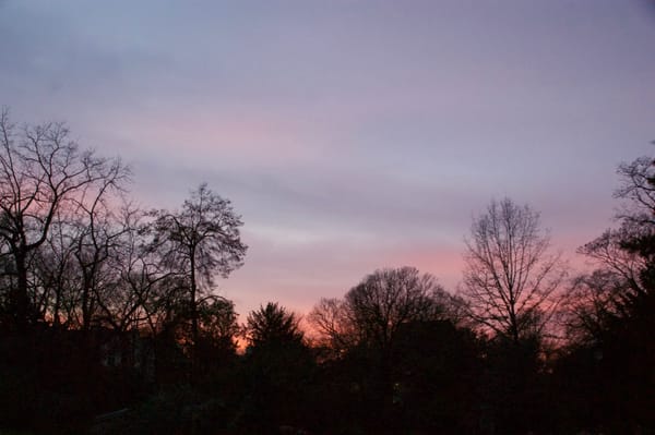 Transférer légalement son patrimoine à l’étranger avant l’orage fiscal ? Voici comment…