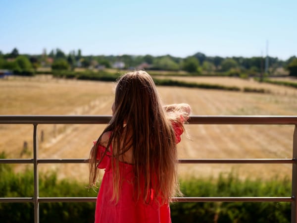 Didier Picot : terrifiante convention citoyenne pour le climat (1ère partie)