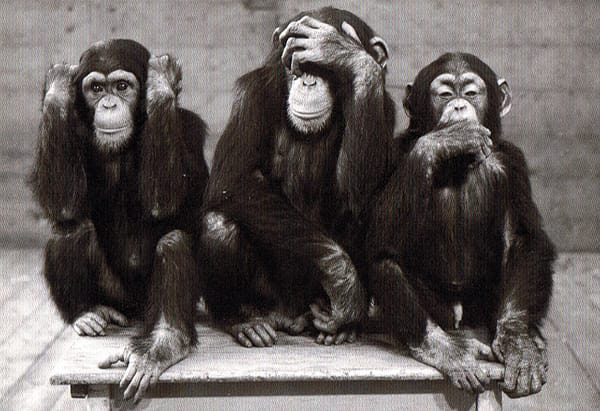 Le vaccin ARNm, une thérapie génique à base d’ADN de singe?