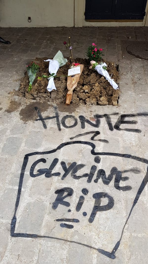 Les deux morts de la glycine de Montmartre