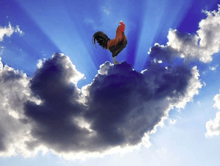 L’Etat continue à jouer petit bras dans le domaine du « Cloud français »