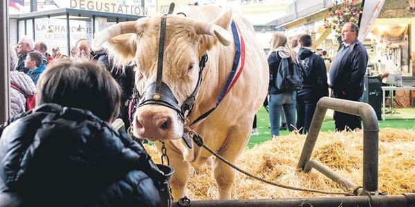 La TVA sociale : un grand moment d’avachissement en perspective