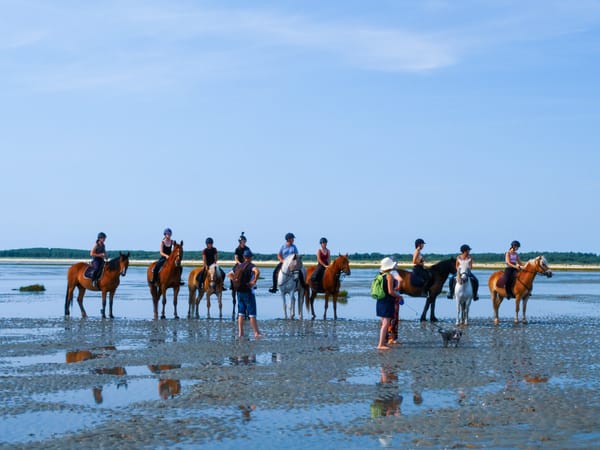 Journal d’ivermectine : tiens, le COVID existe vraiment !