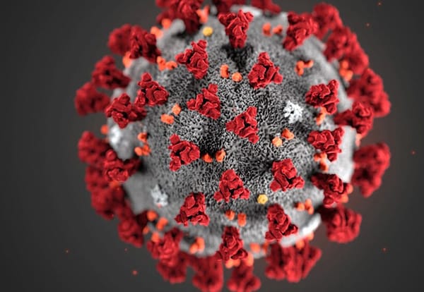 Ce sont des scientifiques qui le disent: enrhumez-vous ! Vous serez mieux protégés contre le COVID-19!