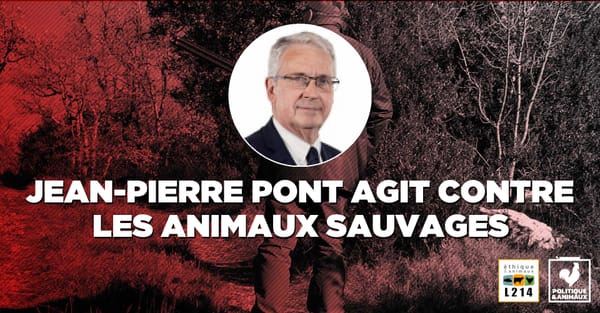 Passe sanitaire : quand les députés macroniens mangent des champignons hallucinogènes