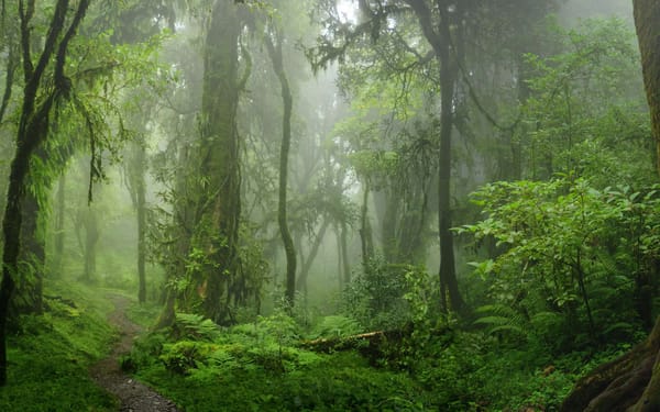 [PAYANT] Comment faire évoluer son mix patrimonial pour préparer la crise ?