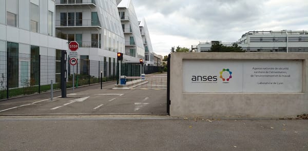 L’Anses juge toxiques les masques FFP2 au graphène