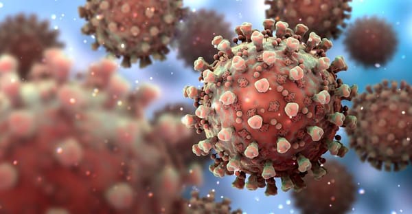 Les chercheurs de l’IHU de Marseille ont identifié un nouveau variant du SARS-CoV2