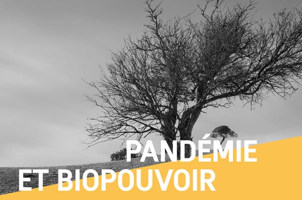 « Pandémie et biopouvoir. La nouvelle précarité contemporaine » de Jean Furtos