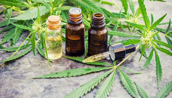 Le cannabis, une nouvelle piste prometteuse contre le Covid