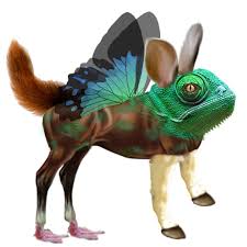 « Là où l’on brûle des livres, on finit toujours par brûler des hommes » (H. Heine). Le fascisme des étudiants gauchistes américains en action!