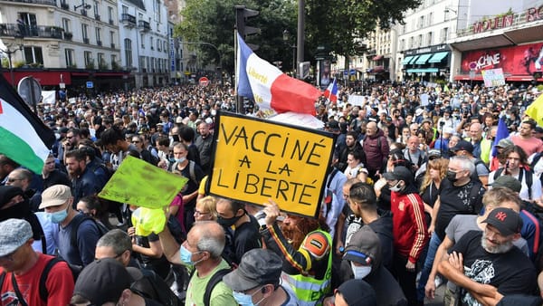 Manifestants français du 8 janvier, nous ne sommes pas seuls: la révolte des sociétés contre les bureaucraties sanitaires est mondiale!