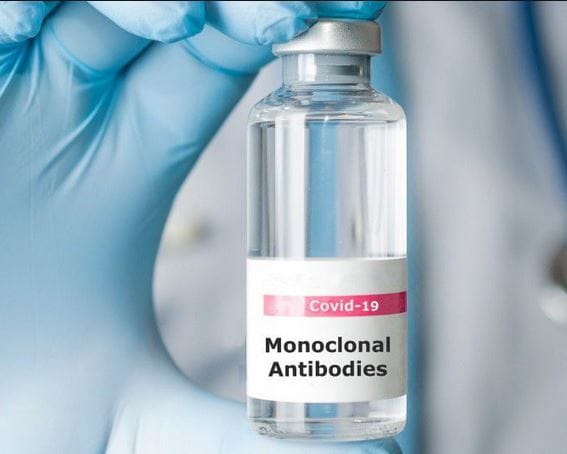 Une étude israélienne a identifié deux anticorps qui pourraient remplacer le vaccin