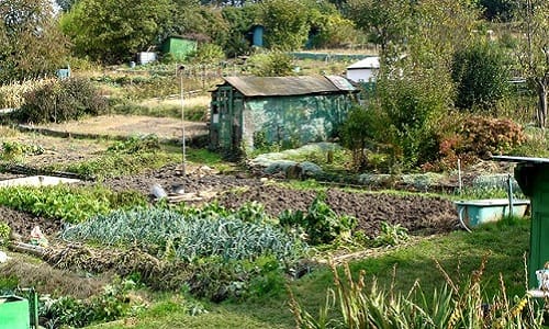 [PAYANT] Les prix de l’alimentation augmentent et confirment la crainte d’une inflation galopante