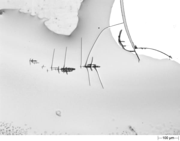 Exclu vidéo : Montesino commente une découverte scientifique majeure sur le contenu du vaccin