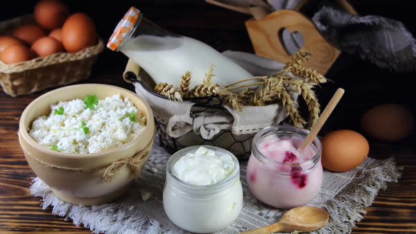 Les probiotiques, le nouvel espoir contre le Covid-19 ?