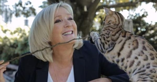 Dans le camp Macron, la victoire de Marine Le Pen devient une hypothèse sérieuse