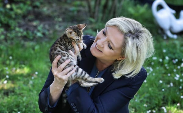 La stratégie de Marine Le Pen est-elle conçue pour gagner ?