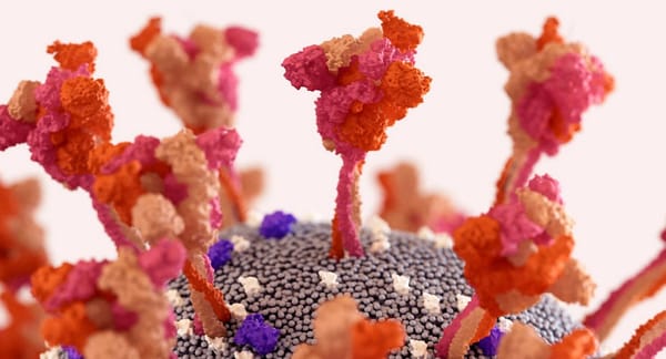 Nouvelle découverte sur le mécanisme des mutations des variants Covid