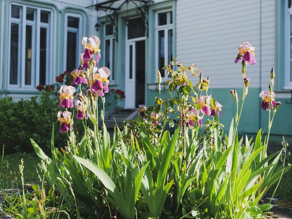 Sécession : nos nouveaux partenariats pour faciliter l’exode urbain et l’expatriation