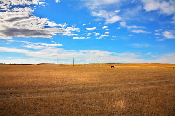 Tocqueville et la destruction du Nouveau Monde par ses conquérants – par Nicolas Bonnal