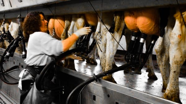 [PAYANT] À quelles pénuries faut-il s’attendre maintenant ?