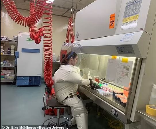 Expériences de « gain de fonction » à Wuhan : la Chine nie toute responsabilité