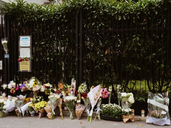 Pendant que Macron calcule son 49-3, Lola meurt dans l’indifférence de la caste