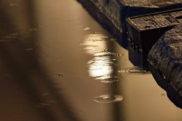 Virginia Woolf et le changement climatique, par Nicolas Bonnal