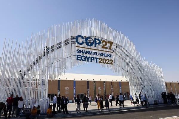 COP 27 : écologie et Droits de l’Homme ne font pas bon ménage