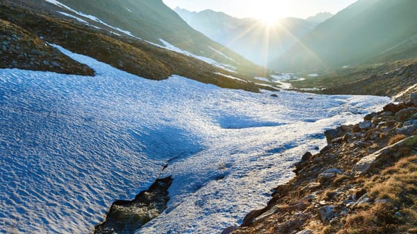 Crise énergétique : La Grande Bouffe (partie 1), par Ulrike Reisner