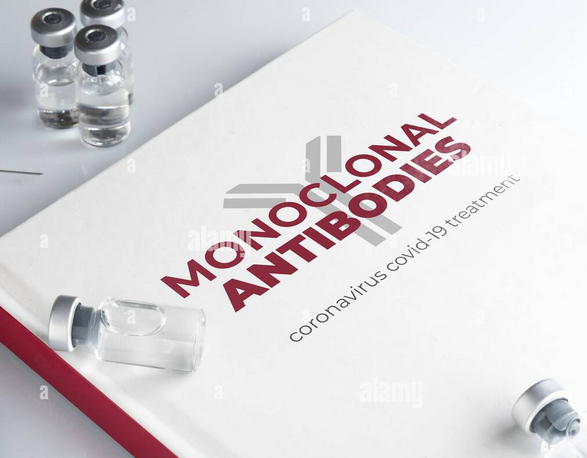 L’UE abandonne les anticorps monoclonaux, inefficaces contre les nouveaux variants